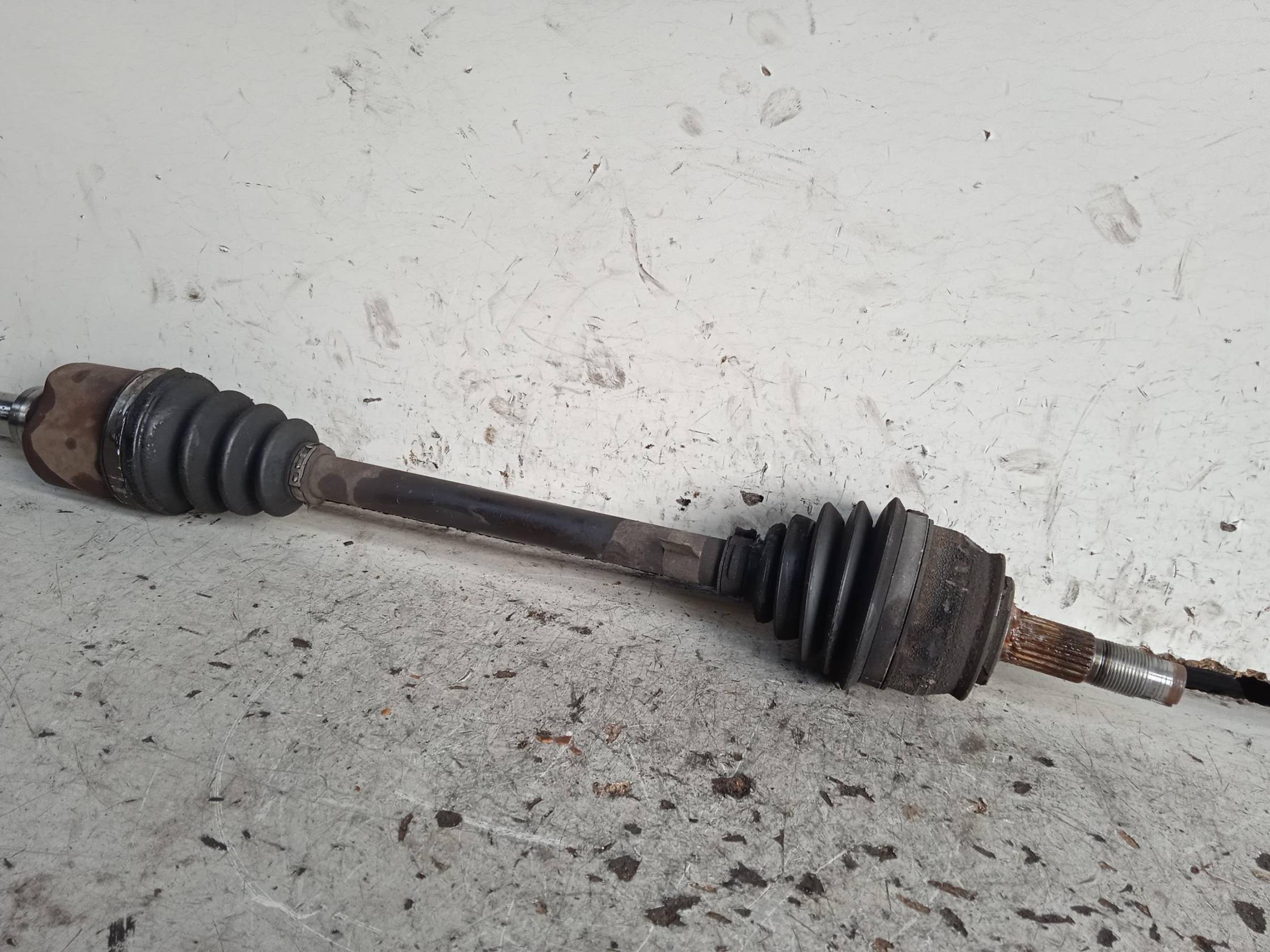 Semialbero ant. compl. sx.